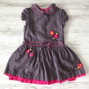 *3/$20* HARTSTRINGS Floral Appliqué Academia Peter Pan Collar Dress 6X